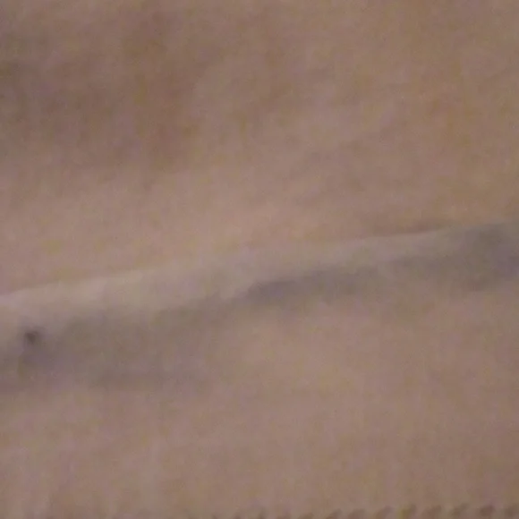 Anthropology Wide Leg Pleated Trousers - Picture 5 of 5